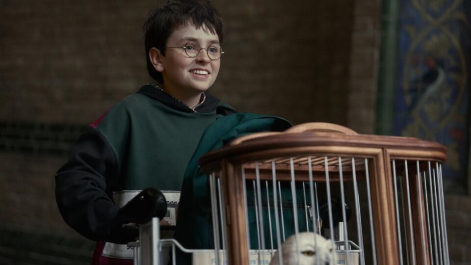 Dominic McLaughlin ako Harry Potter.